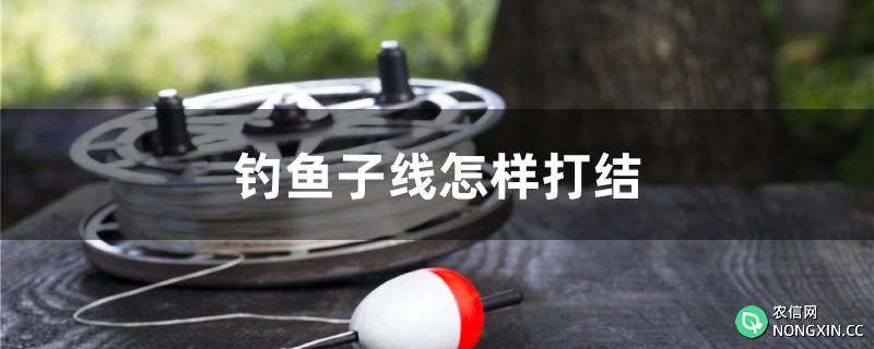 钓鱼子线怎样打结