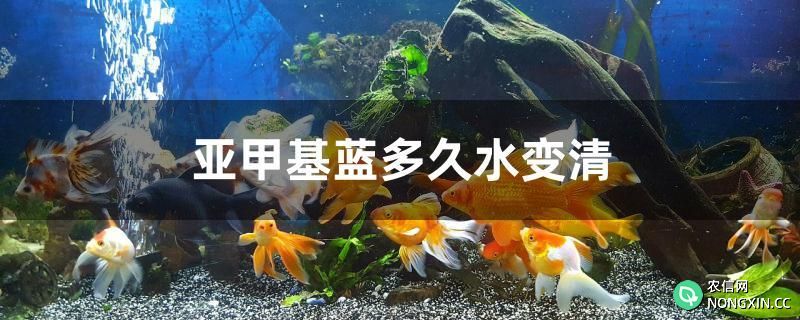 亚甲基蓝多久水变清