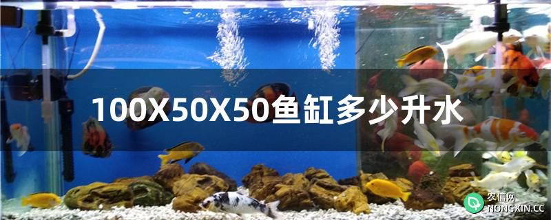 100X50X50鱼缸多少升水