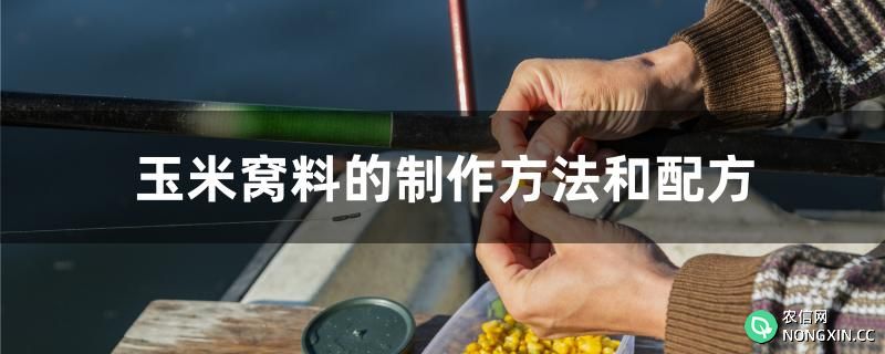 玉米窝料的制作方法和配方