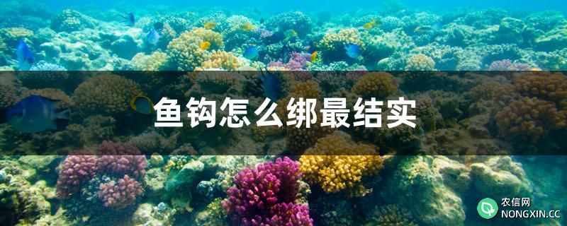 鱼钩怎么绑最结实