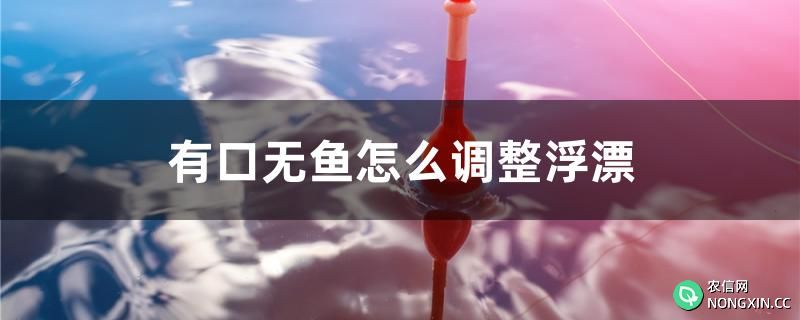 有口无鱼怎么调整浮漂