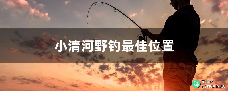 小清河野钓最佳位置