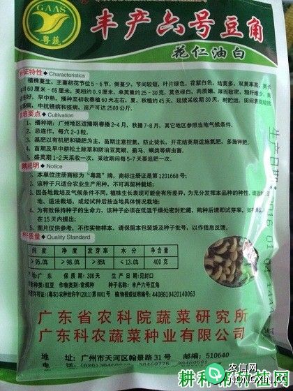 丰产六号豆角品种好不好