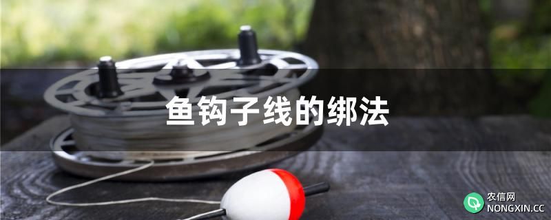 鱼钩子线的绑法