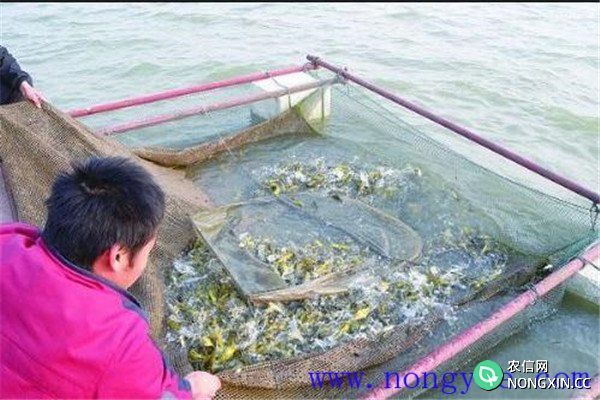 食场的消毒