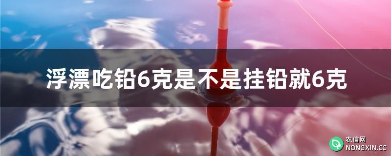 浮漂吃铅6克是不是挂铅就6克