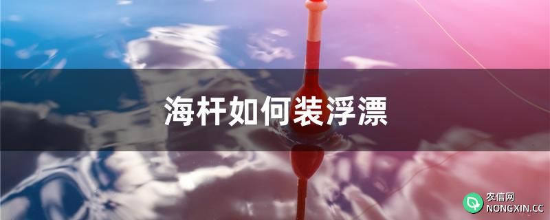 海杆如何装浮漂