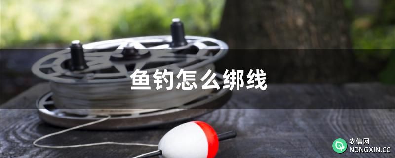 鱼钓怎么绑线