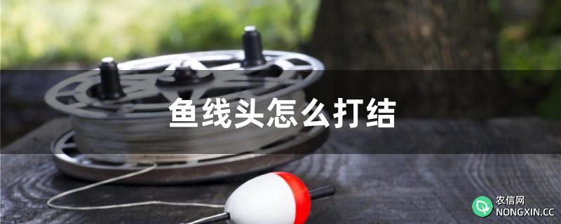 鱼线头怎么打结