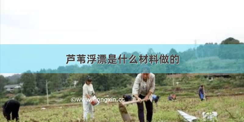 芦苇浮漂是什么材料做的