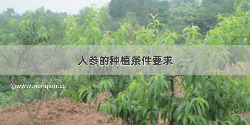 人参的种植条件要求