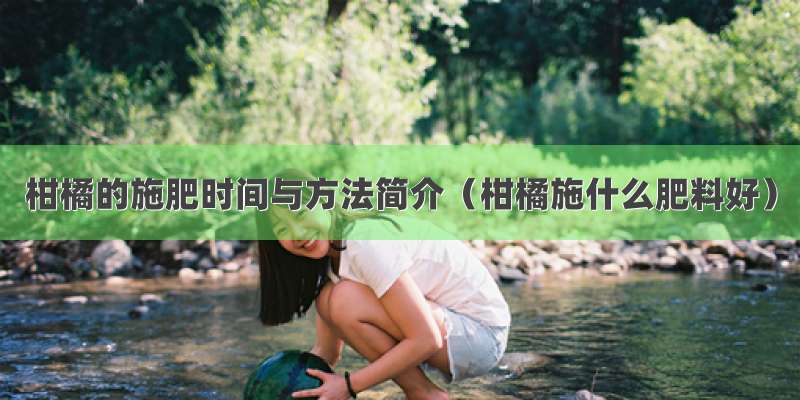 柑橘的施肥时间与方法简介（柑橘施什么肥料好）