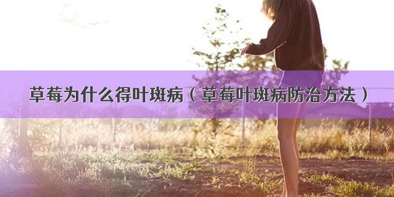 草莓为什么得叶斑病（草莓叶斑病防治方法）