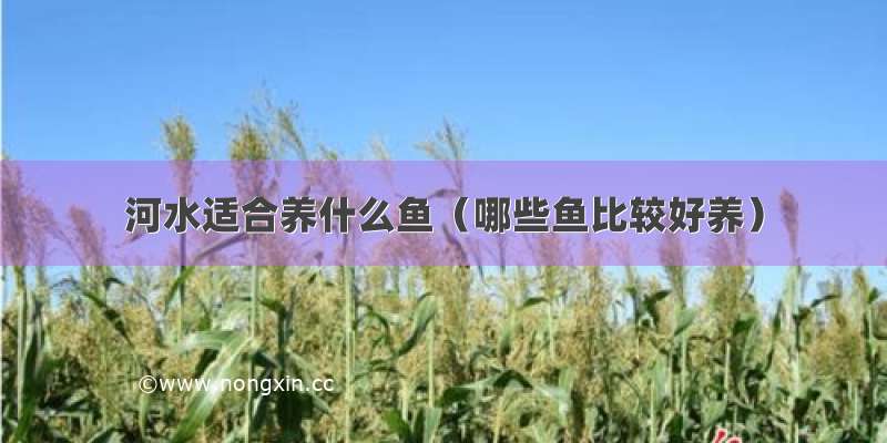 河水适合养什么鱼（哪些鱼比较好养）