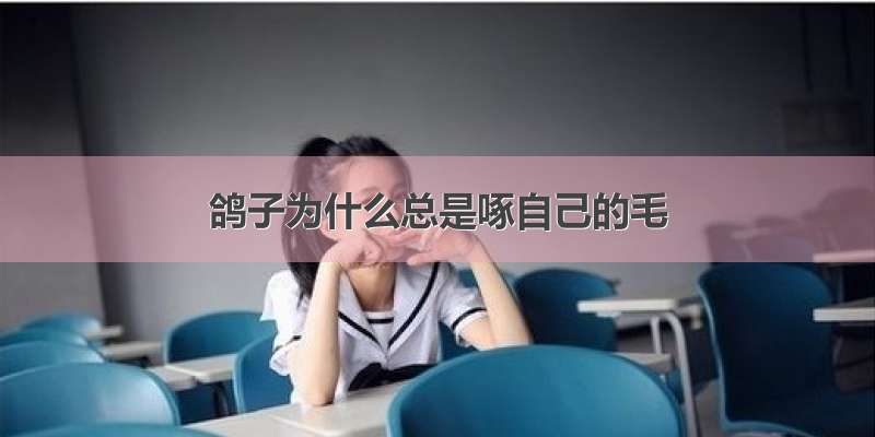 鸽子为什么总是啄自己的毛