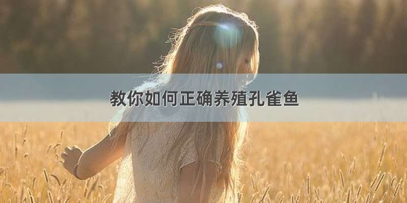 教你如何正确养殖孔雀鱼