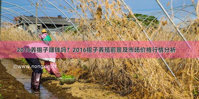 2016养狍子赚钱吗？2016狍子养殖前景及市场价格行情分析