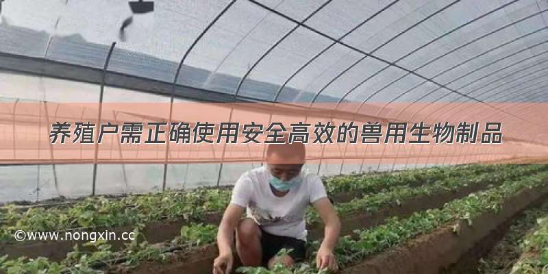 养殖户需正确使用安全高效的兽用生物制品