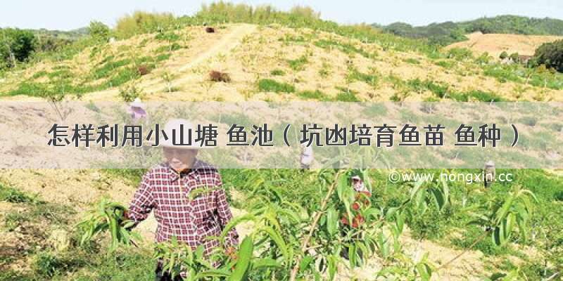 怎样利用小山塘 鱼池（坑凼培育鱼苗 鱼种）