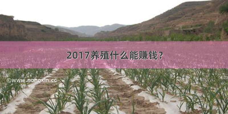 2017养殖什么能赚钱？