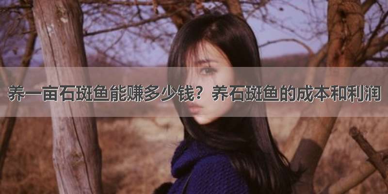 养一亩石斑鱼能赚多少钱？养石斑鱼的成本和利润