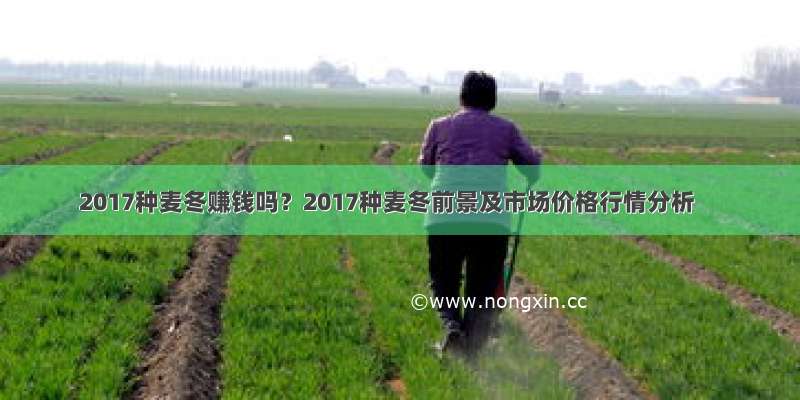 2017种麦冬赚钱吗？2017种麦冬前景及市场价格行情分析