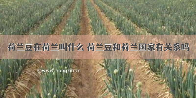 荷兰豆在荷兰叫什么 荷兰豆和荷兰国家有关系吗