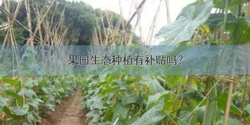 果园生态种植有补贴吗？