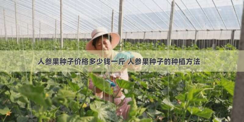 人参果种子价格多少钱一斤 人参果种子的种植方法