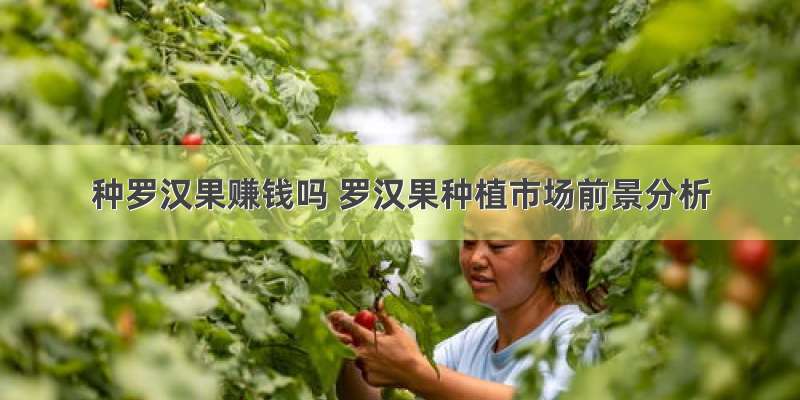 种罗汉果赚钱吗 罗汉果种植市场前景分析