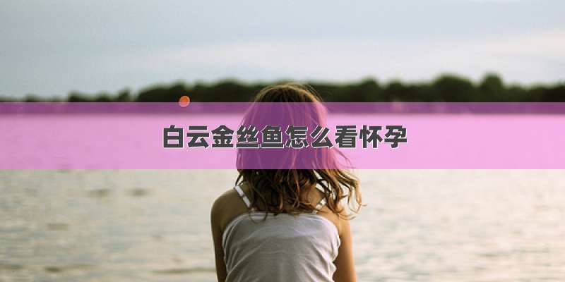 白云金丝鱼怎么看怀孕