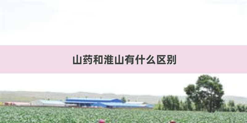 山药和淮山有什么区别