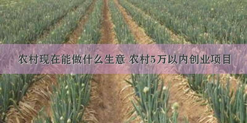 农村现在能做什么生意 农村5万以内创业项目