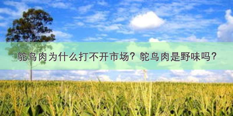 鸵鸟肉为什么打不开市场？鸵鸟肉是野味吗？