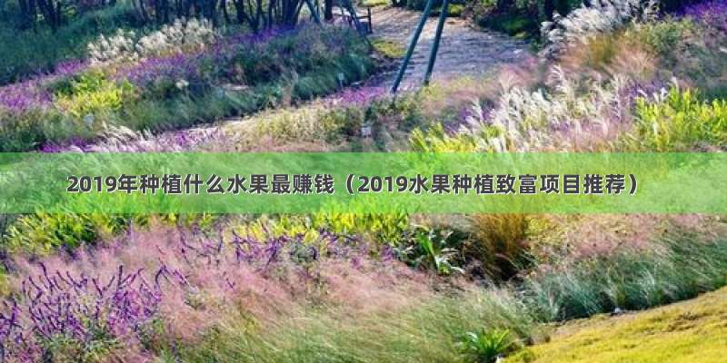 2019年种植什么水果最赚钱（2019水果种植致富项目推荐）