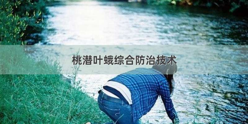 桃潜叶蛾综合防治技术