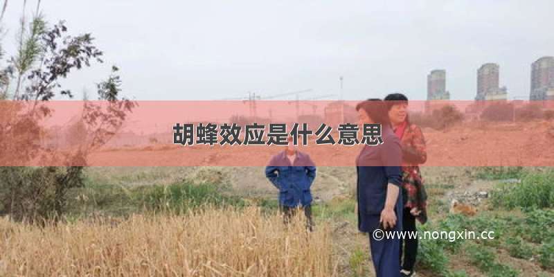 胡蜂效应是什么意思