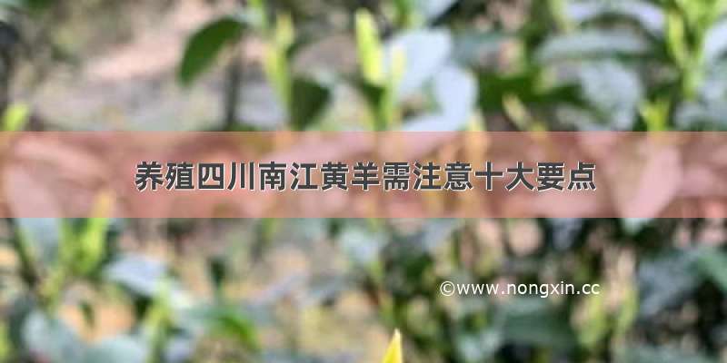 养殖四川南江黄羊需注意十大要点