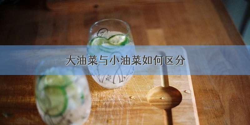 大油菜与小油菜如何区分