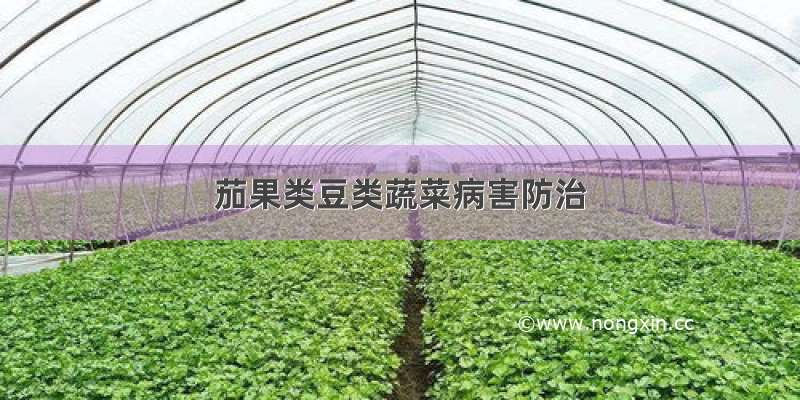 茄果类豆类蔬菜病害防治