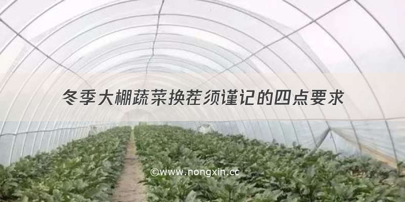 冬季大棚蔬菜换茬须谨记的四点要求