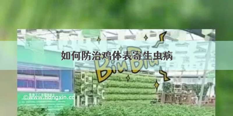 如何防治鸡体表寄生虫病