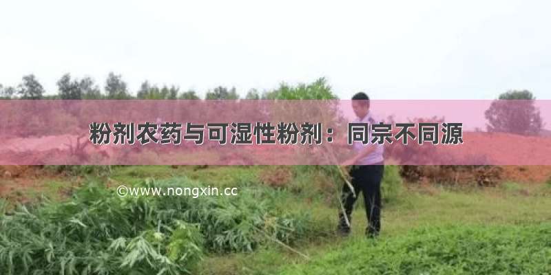 粉剂农药与可湿性粉剂：同宗不同源