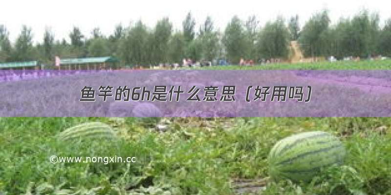 鱼竿的6h是什么意思（好用吗）