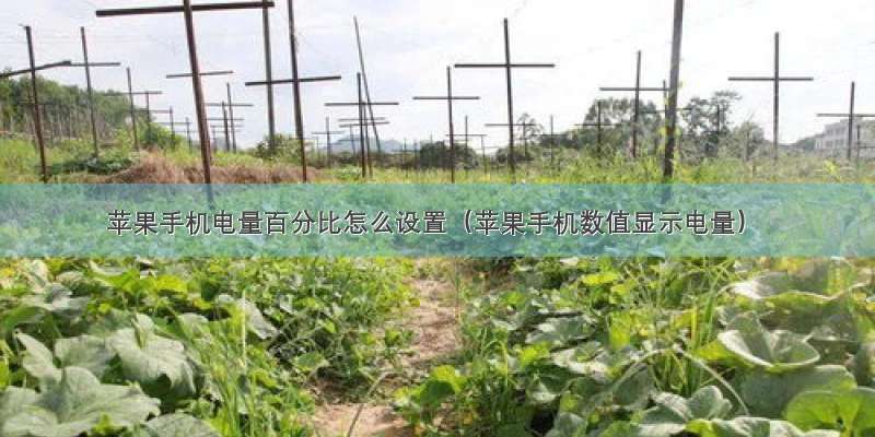 苹果手机电量百分比怎么设置（苹果手机数值显示电量）