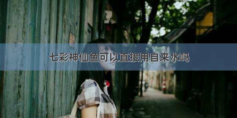 七彩神仙鱼可以直接用自来水吗