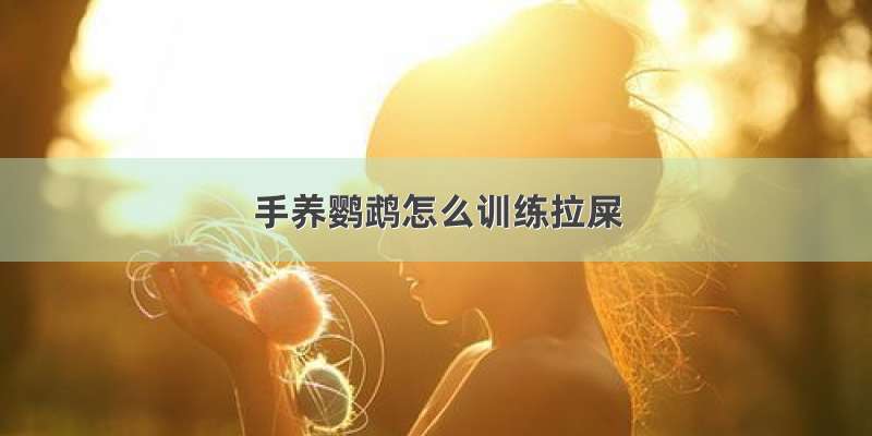 手养鹦鹉怎么训练拉屎