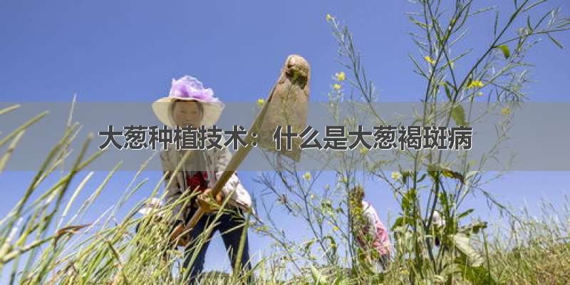 大葱种植技术：什么是大葱褐斑病