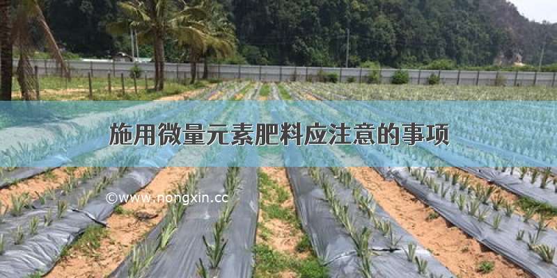 施用微量元素肥料应注意的事项